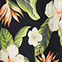 Hibiscus Floral/Black