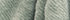 Seagrass