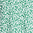 Vibrant Clover Pressed Floral