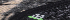 Black Multi