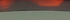 Dark Havana/Green
