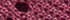 Cranberry
