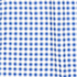 Soft Cloud Blue Gingham