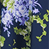 Navy/White Blooms