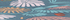 Dark Teal Floral