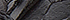 Black Snake