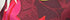 Rich Burgundy Tropical Palm