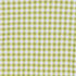 Bright Pistachio Gingham