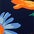 Navy/Exploded Poppy Floral