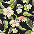 Hibiscus Floral/Black