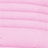 Aster Pink