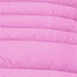 Aster Pink