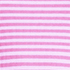 Aster Pink/Orchid Stripe
