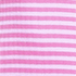 Aster Pink/Orchid Stripe