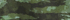 Green Camo