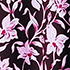 Tropic Floral Ditsy/Dark Wine