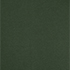 Fresh Evergreen