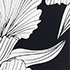 Large Linear Floral/Black