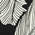 Egret/Black Linear Florals
