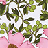Floral Blossom/White/Pink
