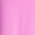 Aster Pink