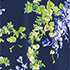 Navy/White Blooms