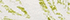 Green Tropic Leaves