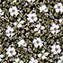 Black Floral Blossom