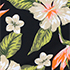 Hibiscus Floral/Black