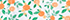 White/Orange Citrus