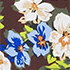 Rich Seal Brown Floral Tropic