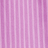 Aster Pink Triple Stripe