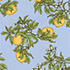 Light Sea Blue Citrus Print