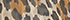 Champagne Animal Spots