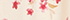 Cream/Granite Snowdrop Floral