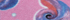 Pink Galaxy Shellfish