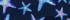 Deep Sea Navy Starfish