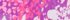 Neon Purple Sequin Print