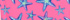 Pink Starfish