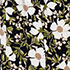 Black Floral Blossom