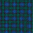 Liberty Blue/Pine Blackwatch