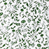 Fresh Clover Pressed Flower