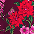 Vivid Plum Poinsettia Floral