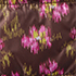 Rich Coffee Ikat Floral