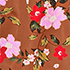 Rich Ginger Brown Wild Roses