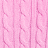 Aster Pink