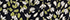 Black Mini Bloom Floral