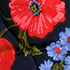Poppy/Deep Sea Navy