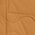 Canyon Camel