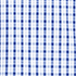 Evening Sapphire/White Plaid